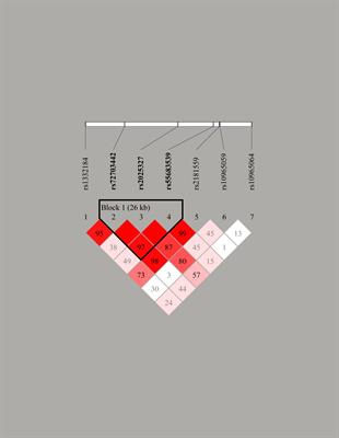 The polymorphisms of MIR31HG gene is correlated with alcohol-induced osteonecrosis of the femoral head in Chinese Han male population